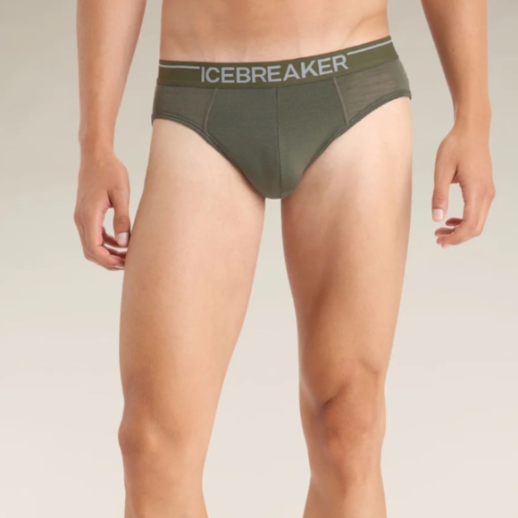 Icebreaker Men's Merino 150 Anatomica Briefs M Loden NWT - Picture 1 of 13